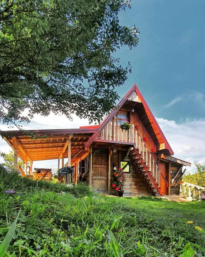 Log Cabin Uvac Nova Varoš Exterior foto