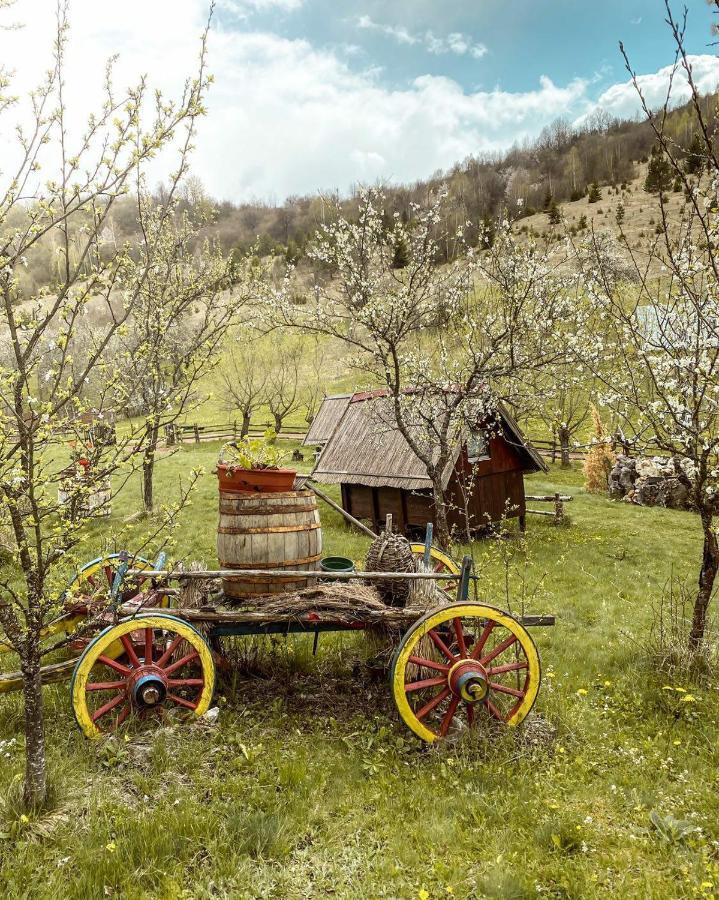 Log Cabin Uvac Nova Varoš Cameră foto