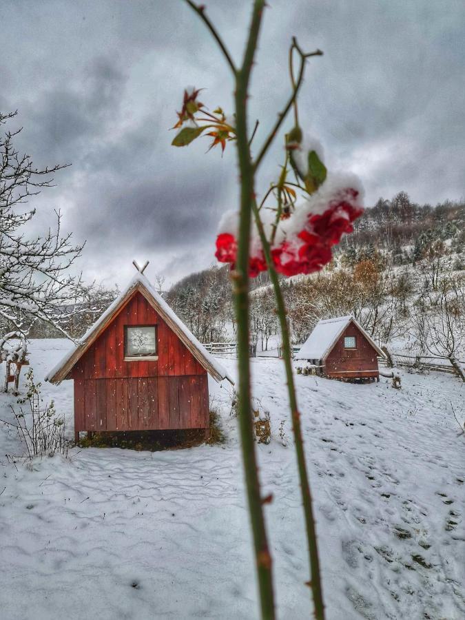 Log Cabin Uvac Nova Varoš Exterior foto