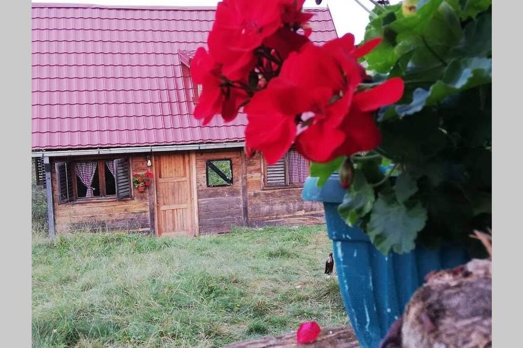 Log Cabin Uvac Nova Varoš Exterior foto