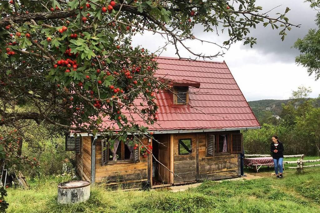 Log Cabin Uvac Nova Varoš Exterior foto